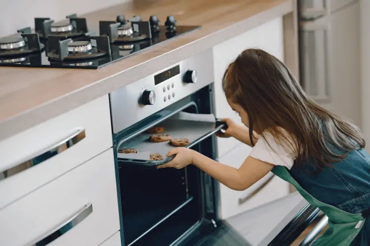 Speed Oven vs Regular Oven