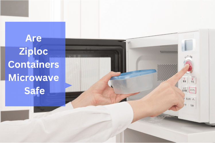 Are Ziploc Containers Microwave Safe