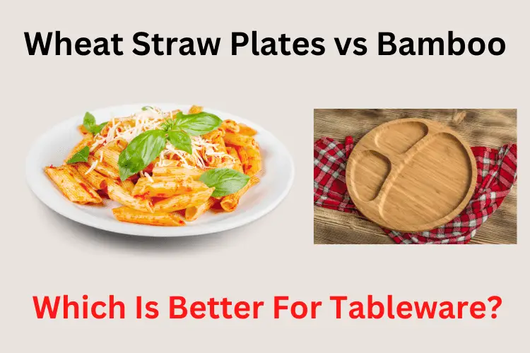 Wheat Straw Plates vs Bamboo