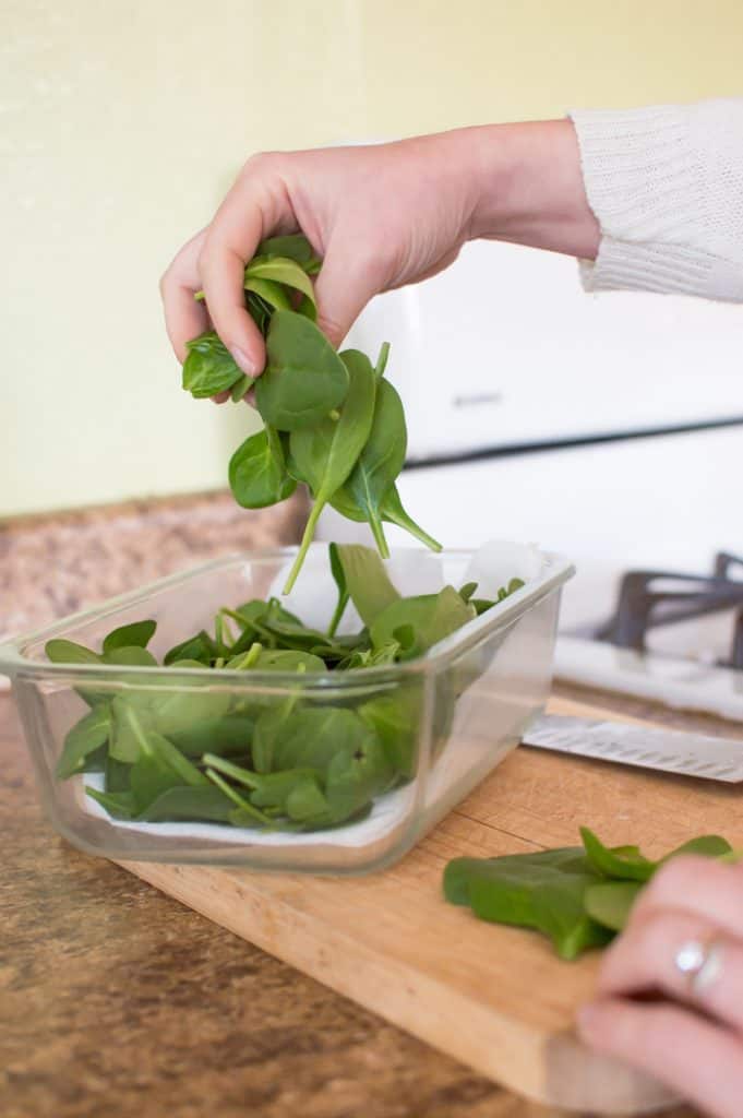 10 Tips To Keep Your Spinach Fresh: Does Spinach Go Bad?