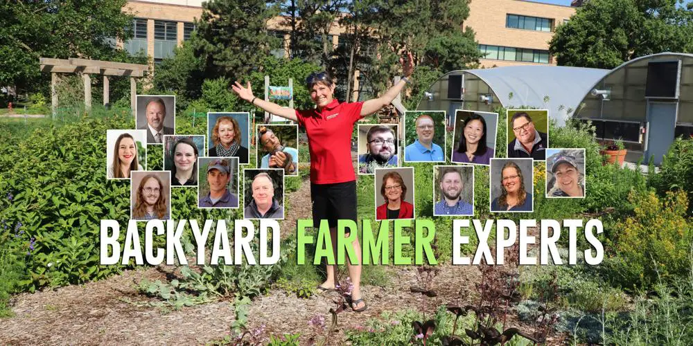 67399151e1f54a918786b0295cca729d