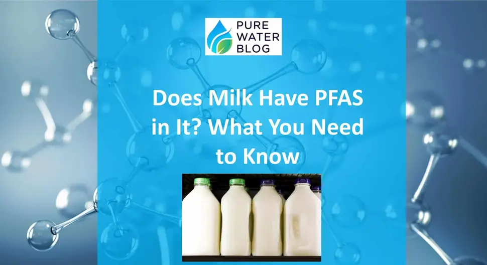 79de0c4729334b6f9a9f36ed0d20a5a3