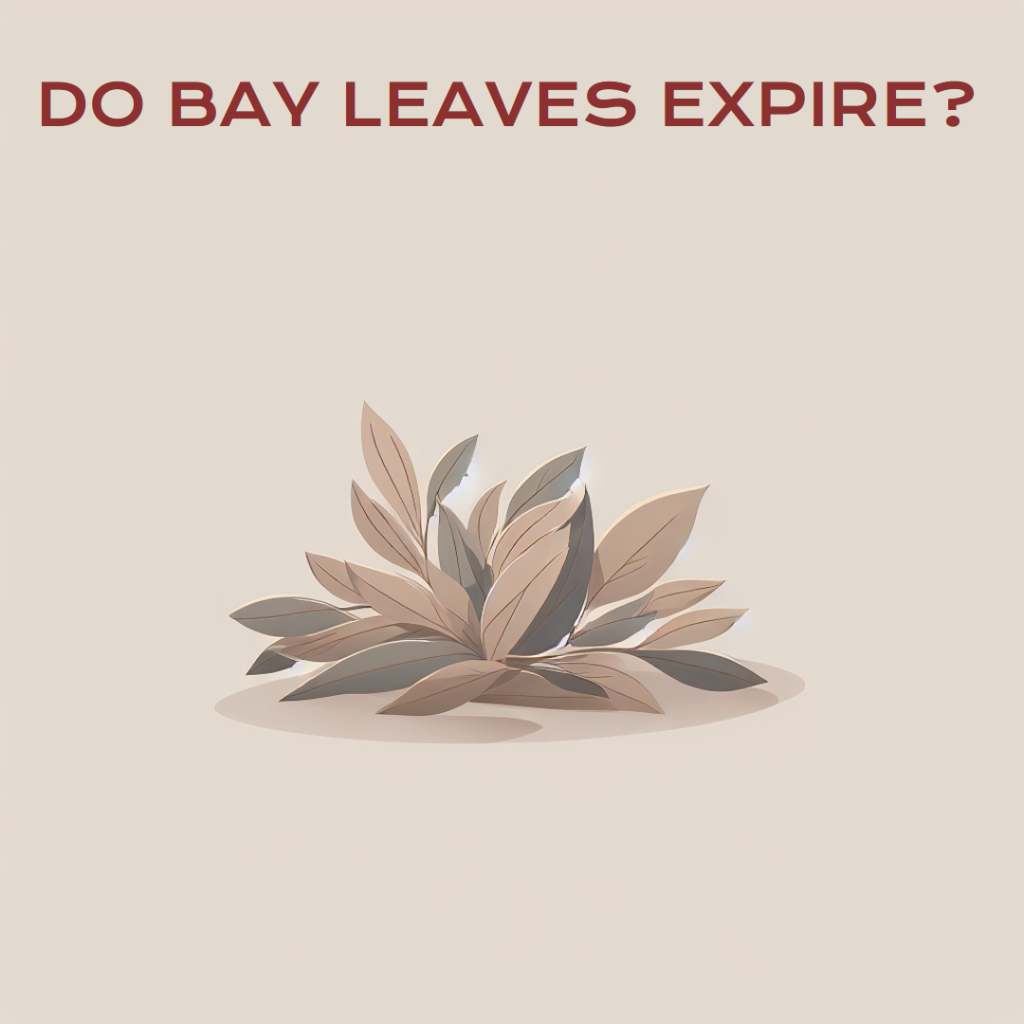 Do Bay Leaves Expire